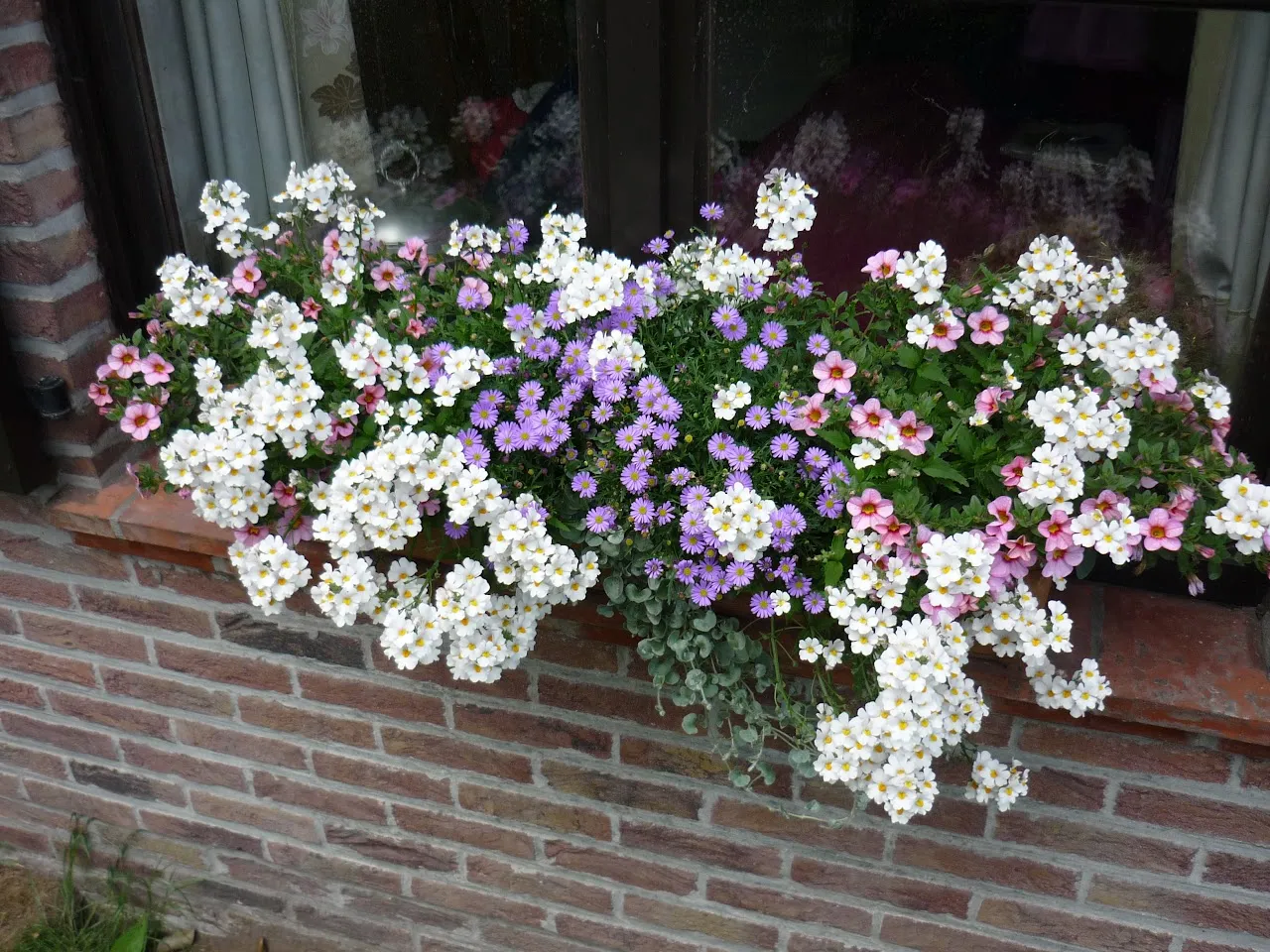 Bloembakken vullen