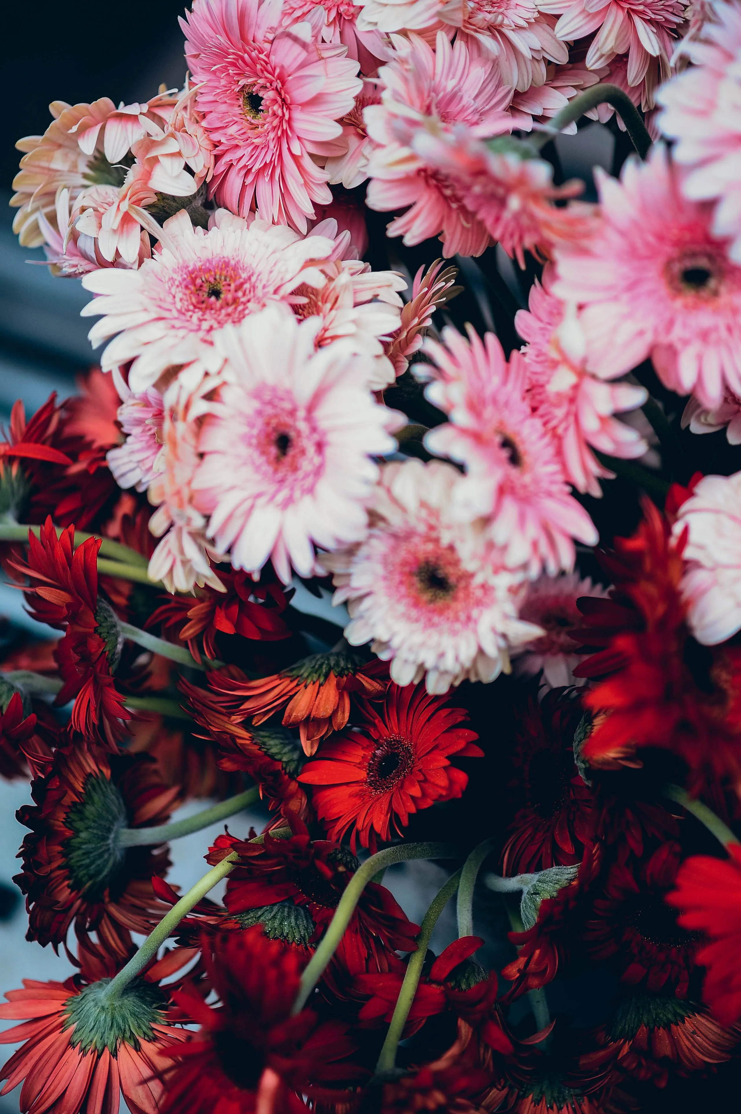 Boeket met seizoensbloemen