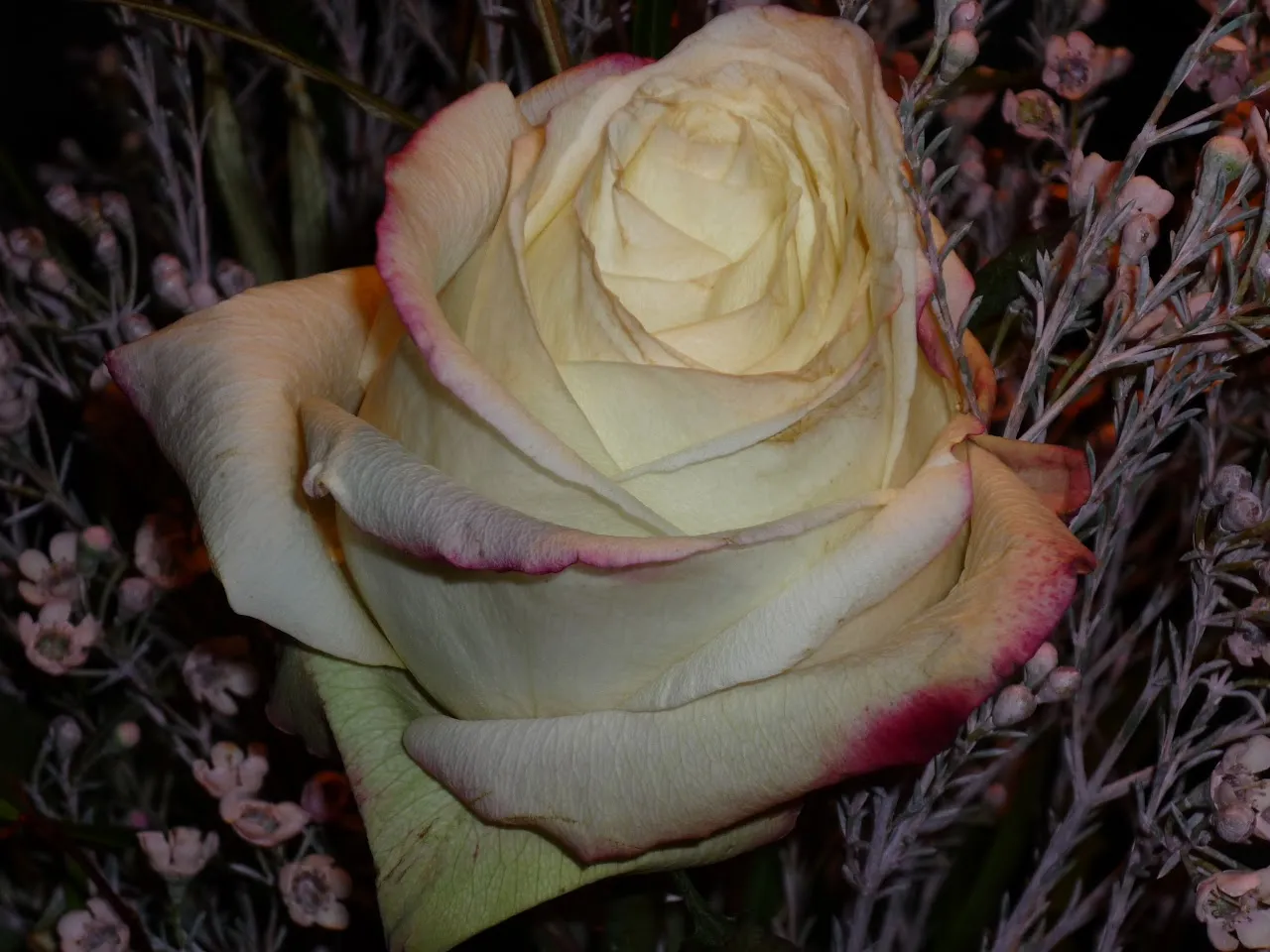 Bloemen